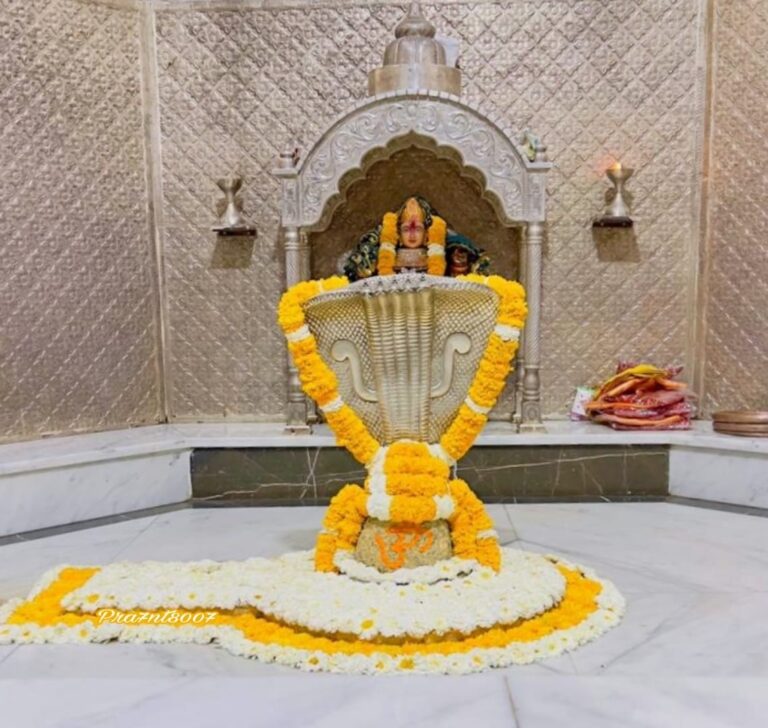 દ્વારકાના દ્વાદર્શ નાગેશ્વર જયોર્તિલિંગ ખાતે શિવ ભક્તોનો મેળાવડો