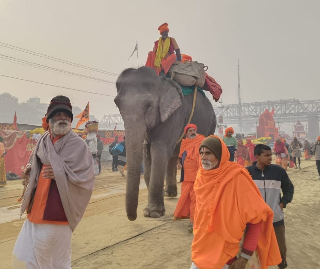 પ્રયાગરાજ મહાકુંભમેળામાં ભાવિકજનો સાથે પ્રાણી પંખીઓ પણ જોડાયાં