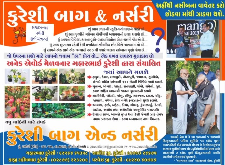 કાર મચાયે શોર: ખંભાળિયાના રહેણાંક વિસ્તારમાં પીધેલી હાલતમાં કાર ચાલકનો અકસ્માત