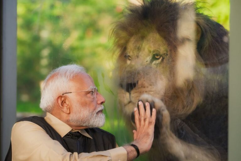 વનતારામાં વડાપ્રધાન મોદીએ કર્યો પશુઓ સાથે વાર્તાલાપ