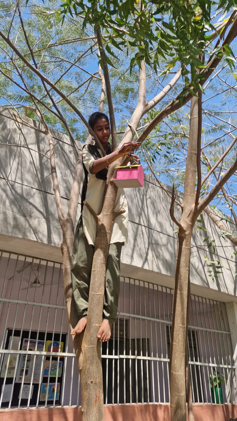 ખડસલિયા શાળા કેમ્પસના ઝાડ પર 100 માળા બાંધીને ચકલીઓને રો હાઉસ આપવામાં આવ્યા