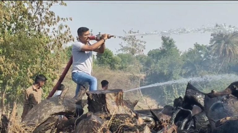 Fire in Cemetery: ખંભાળિયાના ભાડથર ગામે સ્મશાનના લાકડામાં ભભૂકી ઉઠી આગ