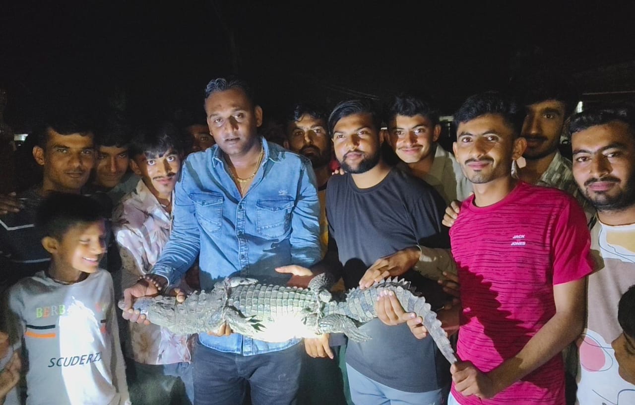 ભાણવડના ભેનકવડમાં ચડી આવ્યો મગર : રેસ્ક્યુ કરાયું