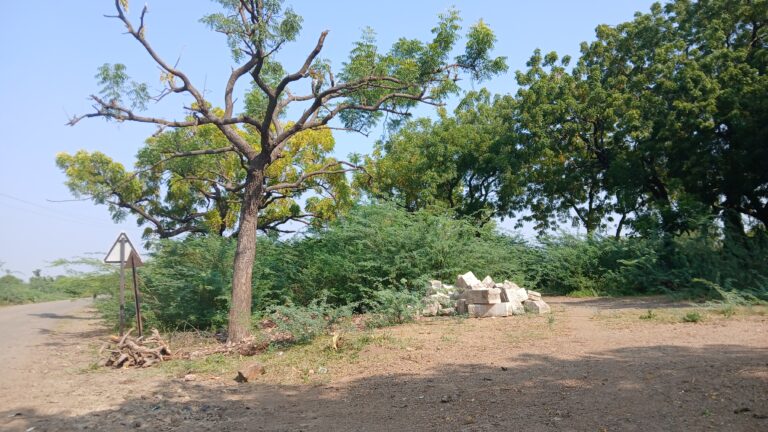 નવા રતનપરમાં “કાળા ચૌદશિયા”ઓના ઈશારે શાસન ચલાવતી સરપંચ-ઉપસરપંચની ગેંગ??? : સરકારનો વર્ક ઓર્ડર નીકળવા છતાં દલિત સ્મશાનનું કામ અટકાવતી પંચાયત બોડી: પંચાયત સામે થશે આંદોલન !!!