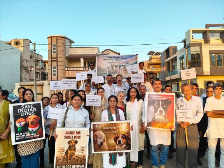 જાહેર રસ્તા પરથી કૂતરાઓને દૂર કરવાના સુપ્રીમ કોર્ટના નિર્ણય સામે પોરબંદરમાં જીવદયાપ્રેમીઓનો શાંતિપૂર્ણ વિરોધ